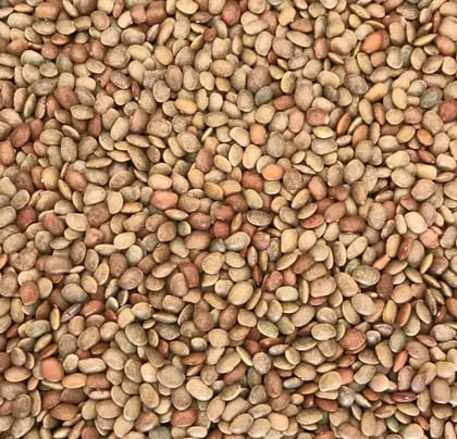 Kollu / Horse Gram 500 gm
