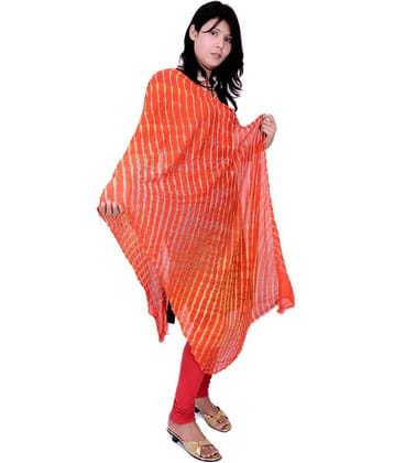 Apratim Red Georgette Leheria Dupatta