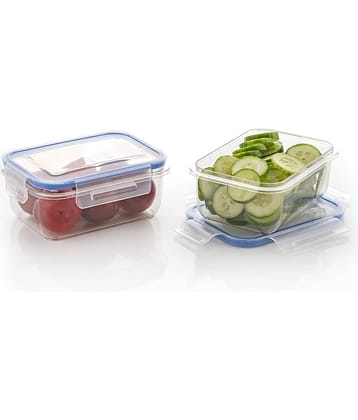 iview kitchenware Plastic Multi-Purpose Food Container, 500ml (2U)