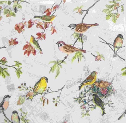 Decoupage Napkin / Tissue papers - GT1798 ( white background )