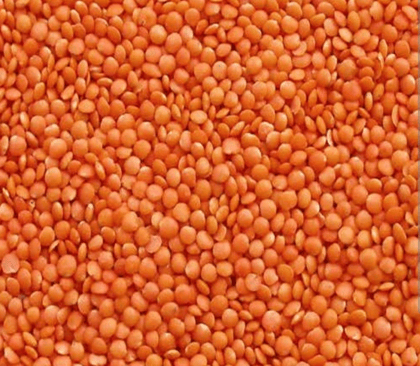 Masoor dal