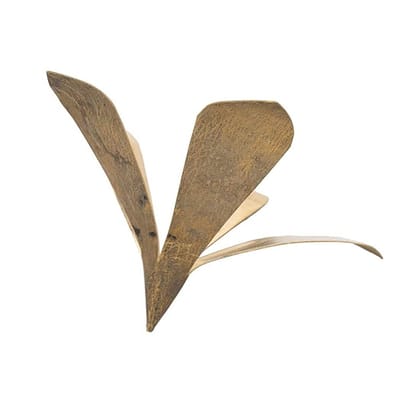 MAYAPURI Pure Brass Amra Pallav or Original Pital Aam Patta/Pooja Mango Leaves for Daily Puja | Golden Colour, Mango Leaf Size; 3.5x3.5x3.5 inches (Pack of 1)