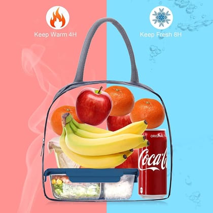 Insulated Lunch Bags For Office, School | Portable And Reusable (Pack of 6)