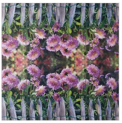 Decoupage Napkin / Tissue papers - 33cm*33cm - GT3021