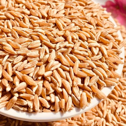 Khapli Wheat (1kg) | 100% Authentic & Pure Emmer Wheat | Traditional Indian Cooking