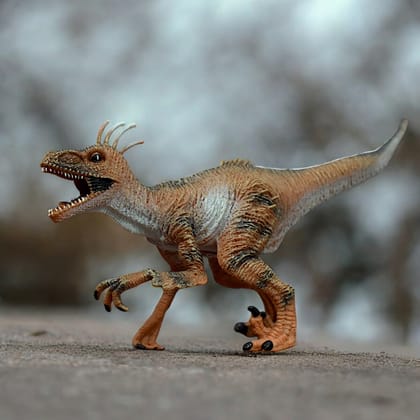 Dinosaur Action Figure - Realistic 10-inch Velociraptor Toy For Kids