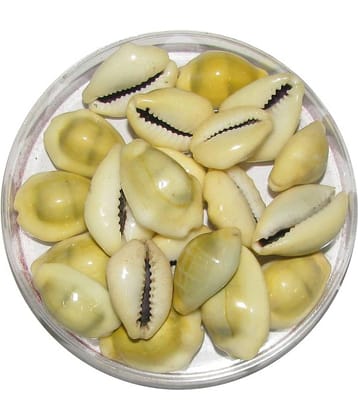 Bala Bakthi Pooja Shell Crystal