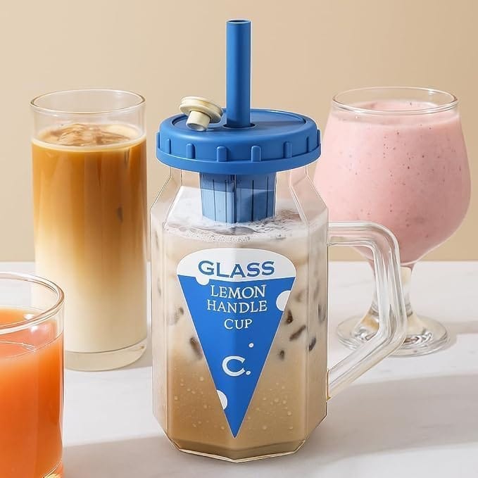 Glass Sipper with Fruit Infuser and Squarish Handle,500 ML,Set Of 1,Comfortable Grip Infused Bottle for Detox & Hydration,Water Bottle for Gym,Office,Yoga & Travel,Sipper for Daily Use,Random Colours