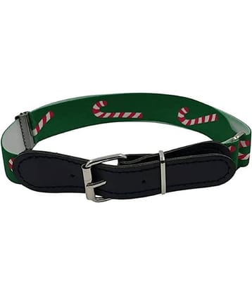 Zacharias Boy's Stretchable Printed Belt for kids (Green_1-6 Years)