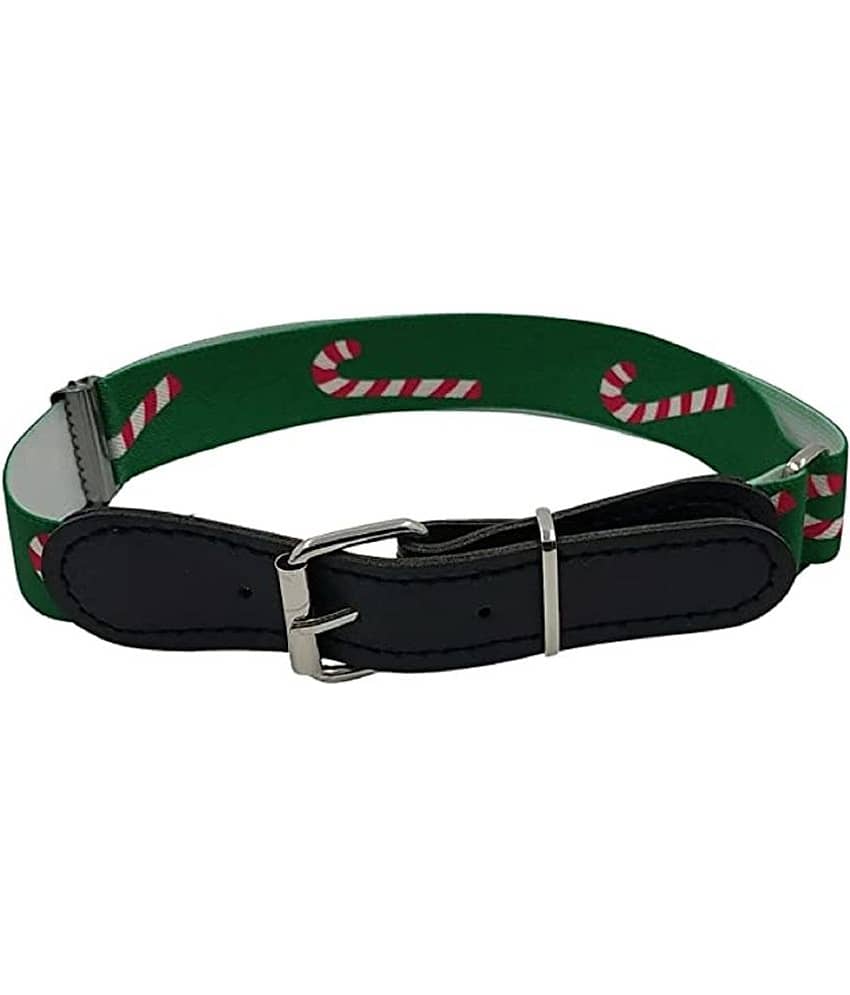 Zacharias Boy's Stretchable Printed Belt for kids (Green_1-6 Years)