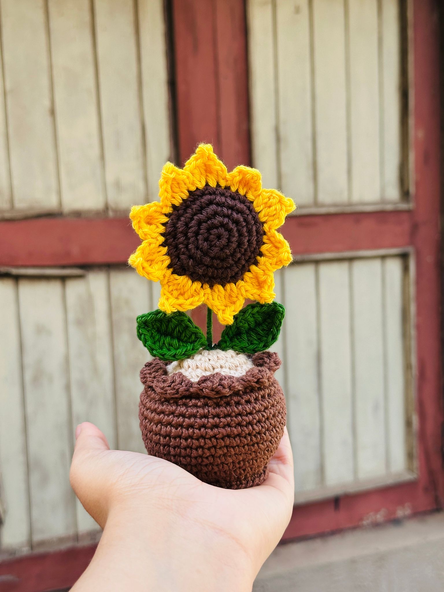 Sunshine sunflower pot