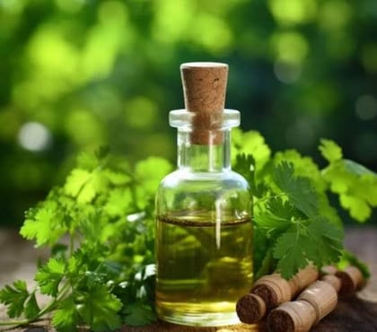 Coriander Hydrosol Extract (100gms)