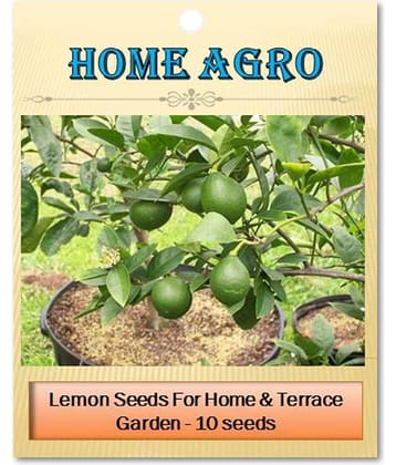 homeagro - Vegetable Seeds ( 10 seed )
