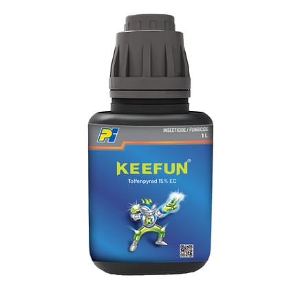KEEFUN