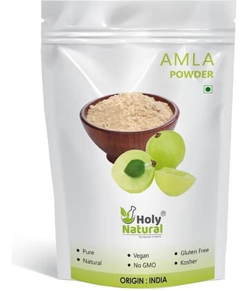 Holy Natural Amla Powder 100 gm Vitamins Powder