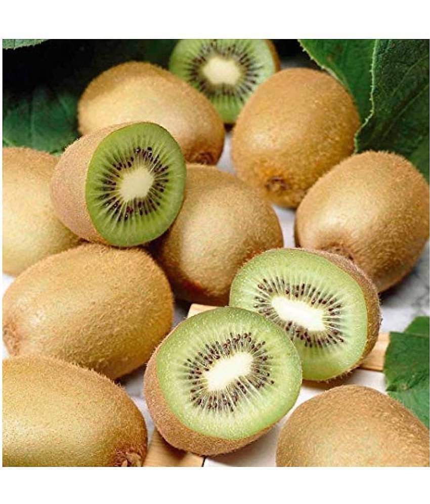 Royal Paradise Garden Rare Kiwi Fruit Plant Seeds +Dwarf Mixed Organic Large Sweet Guava Seeds