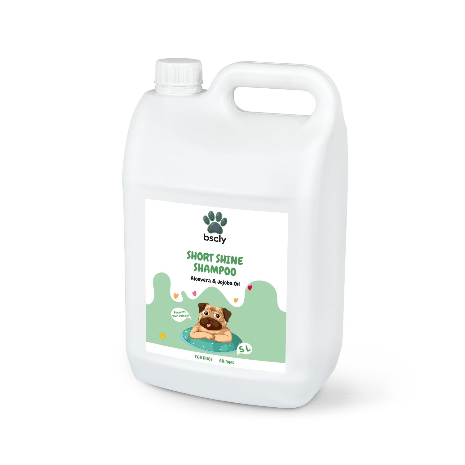 Bscly Short Shine Shampoo, 5 L