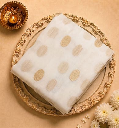 Handloom Chanderi Silk Cotton Saree