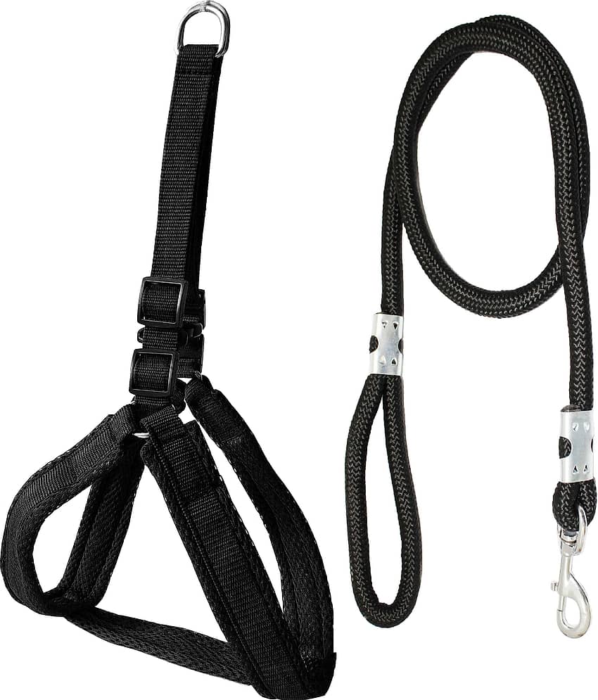 Petshop7 Mesh Padded Nylon Dog Harness & Leash Rope - Small (Chest Size - 25-34inch)