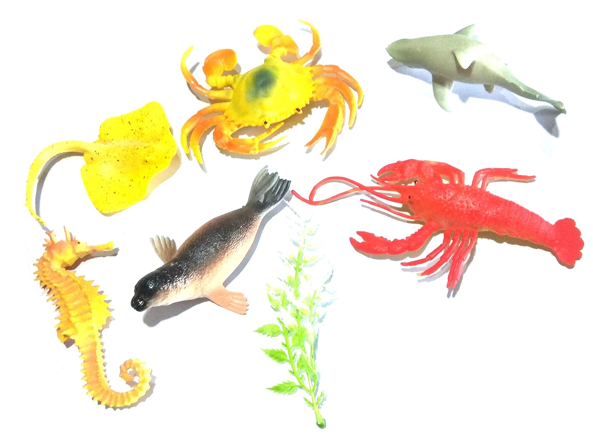 Nawani Water World 6 Pic Water Animal + Plants Ocean/Water/Marine Animals Figures Set for Kids(Multi Colour)