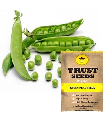 TrustBasket Green Peas Vegetable Seeds Hybrid (15 Seeds)