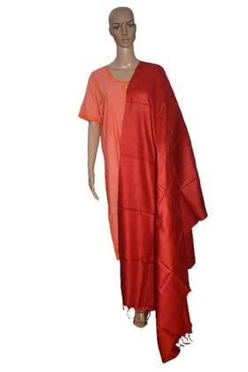 Pure organic Tussar Silk Dupatta