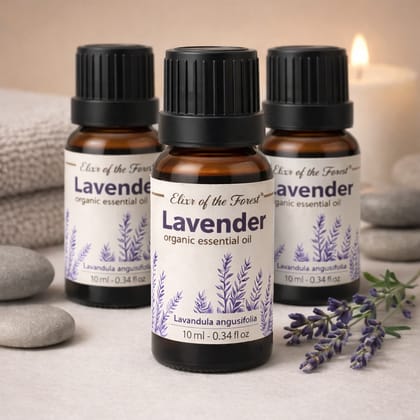 Elixir of the Forest Lavender Essential Oil | 30 ml (10 ml x 3) | Value Combo Pack | Hair, Skin & Aromatherapy Use