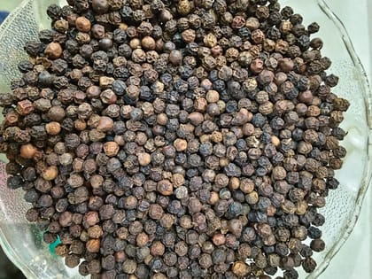 Black pepper