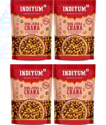 Indiyum Party Mix 480 g Pack of 4