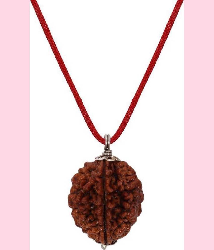 Astrodidi 2 Mukhi Rudraksha With Lab Report
