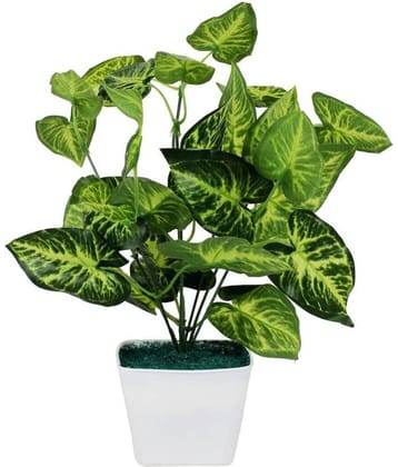 Green plant indoor Artificial Money Plants Multicolour Bonsai Plastic - Pack of 1