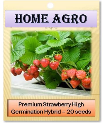 homeagro - Strawberry Fruit ( 20 Seeds )