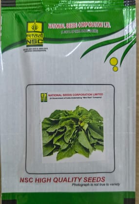 NSC Amaranthus Pusa Kiran Seed, 10 gm