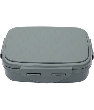 Jaypee - Light Grey Stainless Steel Insulated Lunch Box ( Pack of 1 )