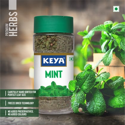 Keya Mint | Seasoning for Meats, Soups, Sauces, Vegetables, and Beverages | Rich in Antioxidants & Supports Digestion | No Artificial Flavours or Colours | 7g