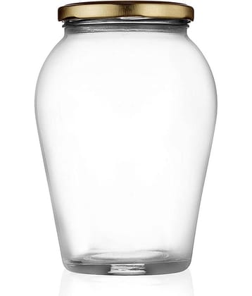 Somil - Storage Container Glass Transparent Spice Container ( Set of 1 )