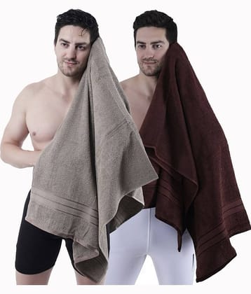 Dollar Cotton Striped 500 -GSM Bath Towel ( Pack of 2 ) - Multicolor
