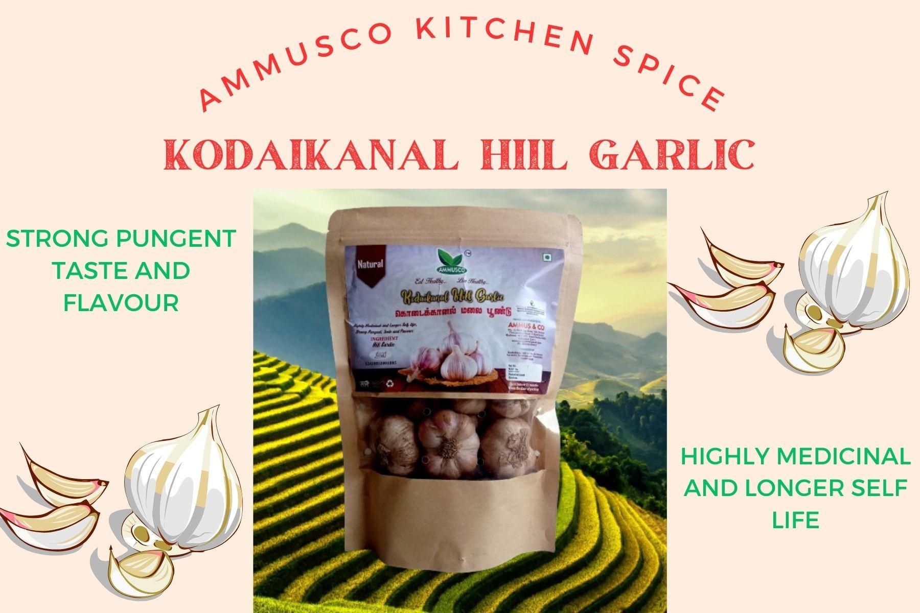 AMMUSCO Kodaikanal Malai Poondu – Premium Hill Garlic Whole Bulbs for Cooking & Pickle