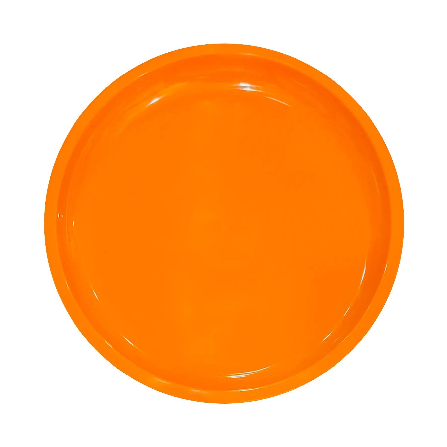 Orange Plastic Round Party Plates - 10 inches - 6PC