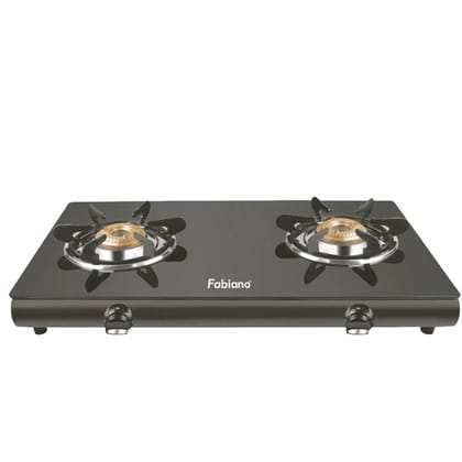 Fabiano 2 Burner Radiant Gas Stove - Black