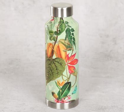 India Circus Seedling Monarch Big Steel Bottle