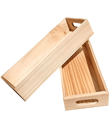 SWH Food Tray for