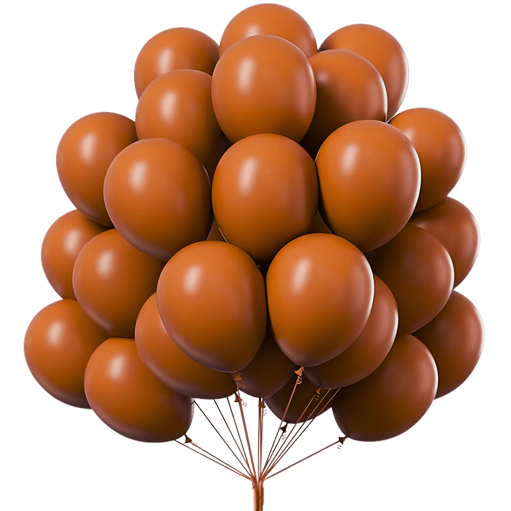 Chocolate Brown Premium Latex Balloons 10" - 50PC - Party and Festive Needs | Buy online on ZillyBuy