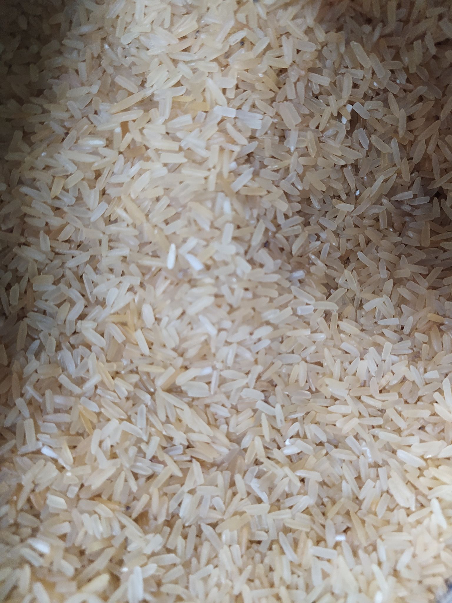 sella rice broken