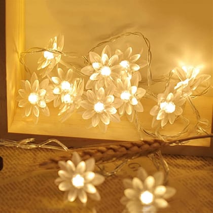 GLOWSERIE Warm Glow Flower LED String Lights – Decorative Fairy Lights
