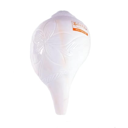 MAYAPURI Original Authentic Vamavarthi Loud Sound Blowing Shankh for Puja, Natural Pooja Bajane Wala Shankha, White Conch Shell with Engraved Design, Sangu