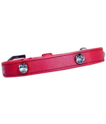 Tame Love - Red Dog Collar (Small)