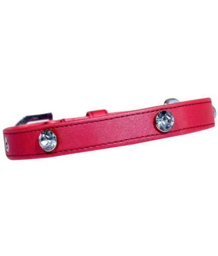 Tame Love - Red Dog Collar (Small)