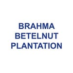 BRAHMA BETELNUT PLANTATION