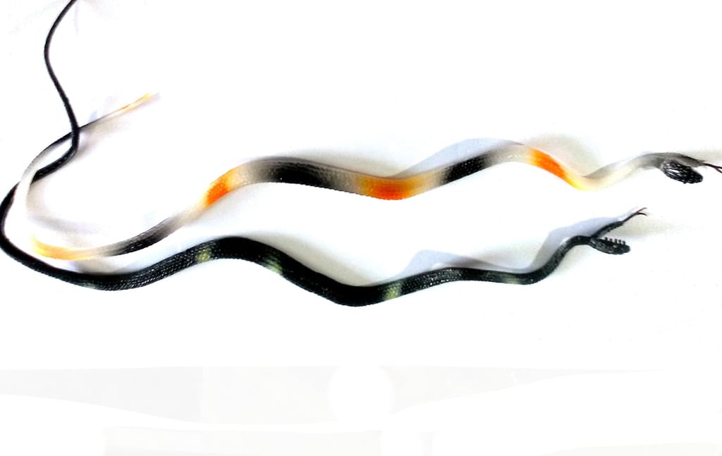 nawani rubber snake,realistic snake toy size - 50 cm 2pic combo- Multi color